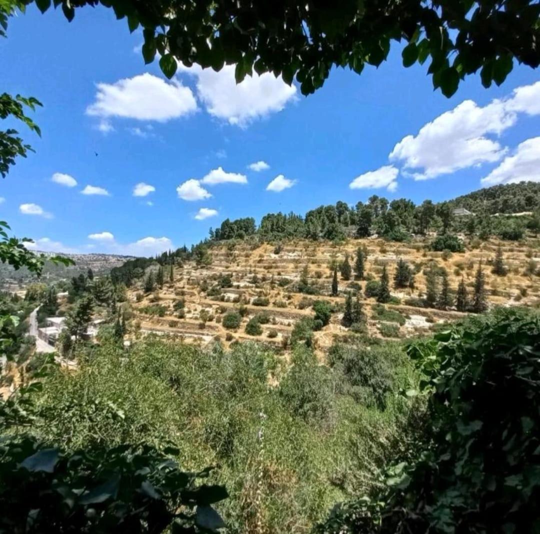 View Of The Valley Guest House Jeruzalem Buitenkant foto